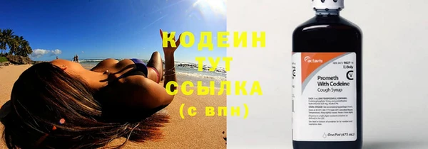 дурь Надым