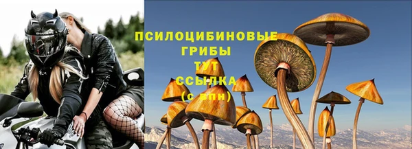 Альфа ПВП Михайловск