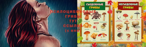Альфа ПВП Михайловск