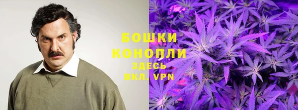 дурь Надым