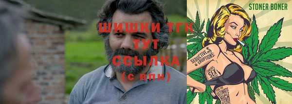 спиды Михайлов