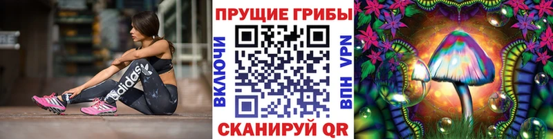 Галлюциногенные грибы Magic Shrooms  блэк спрут сайт  Чишмы 